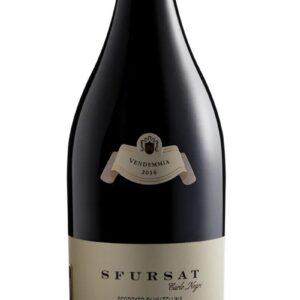 Sfursat “ 3000” DOCG 2016 – Nino Negri – 1,5 L